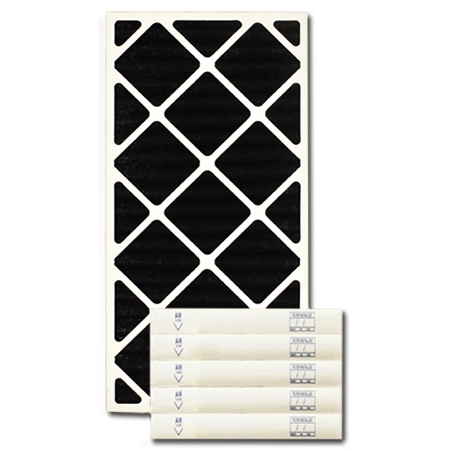 10 X 20 X 2 Carbon Pleated Filter