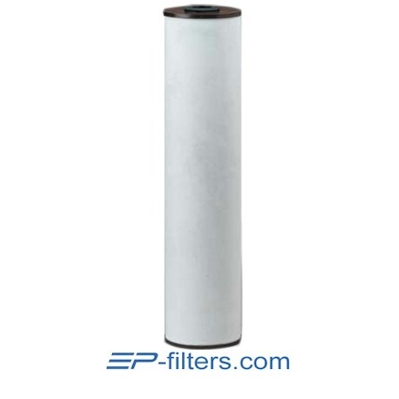 RFFE20-BB Radial Flow Iron Reduction Cartridge