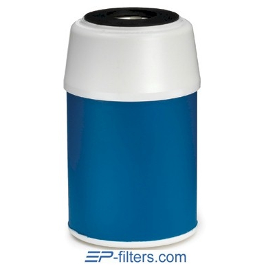 Everpure Granular Activated Carbon Filter for 5" Bowl Drop-in Systems
