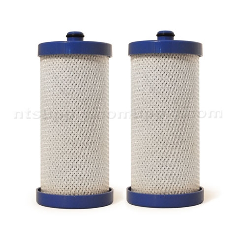 EcoAqua Replacement for Frigidaire Filter (RC200/WFCB, RG100/WF1CB), 2-Pack