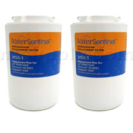WaterSentinel WSG-1 Replacement for GE MWF Filter, 2-Pack