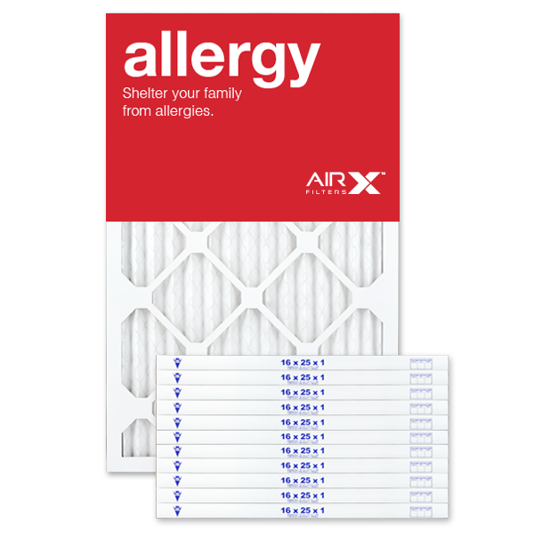 AirX allergy prevention air filter