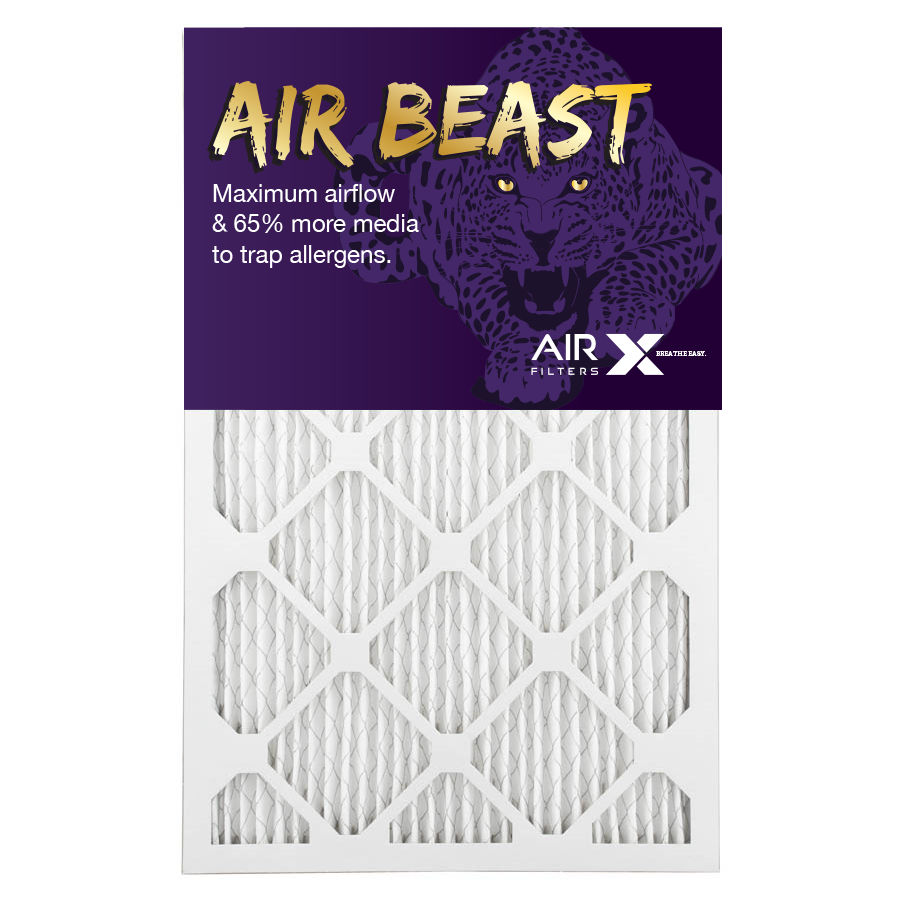 AirX allergy prevention air filter