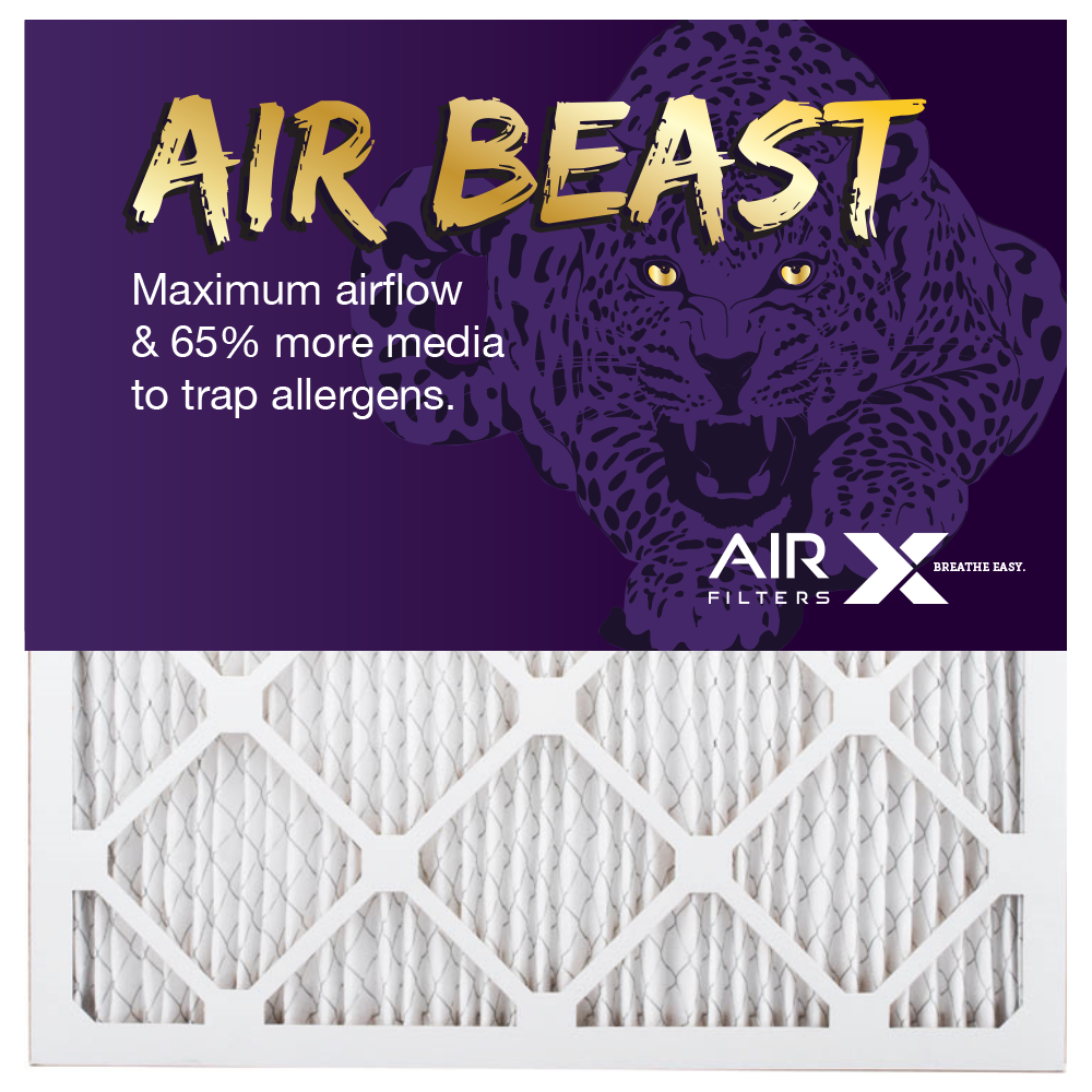 AirX allergy prevention air filter