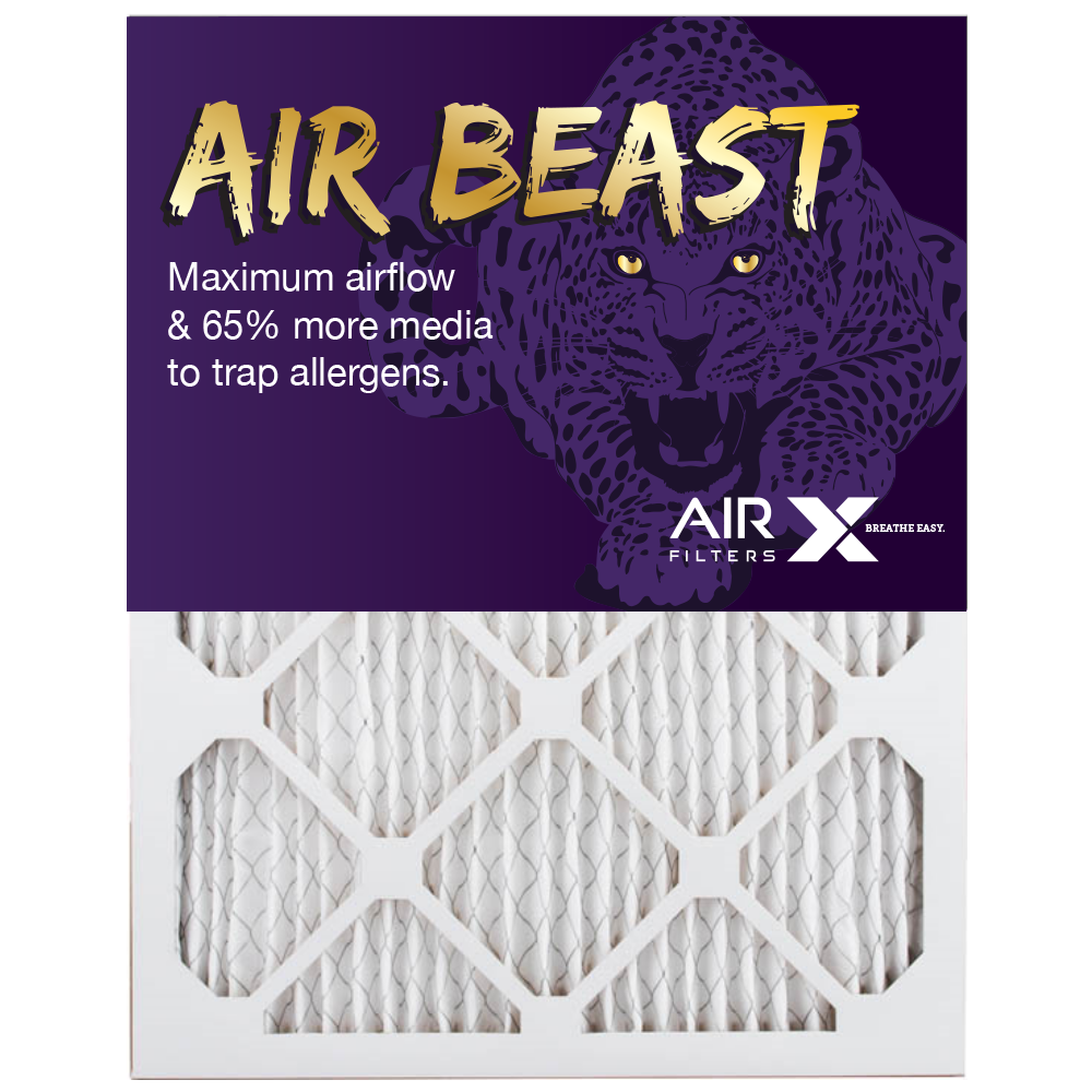 AirX allergy prevention air filter