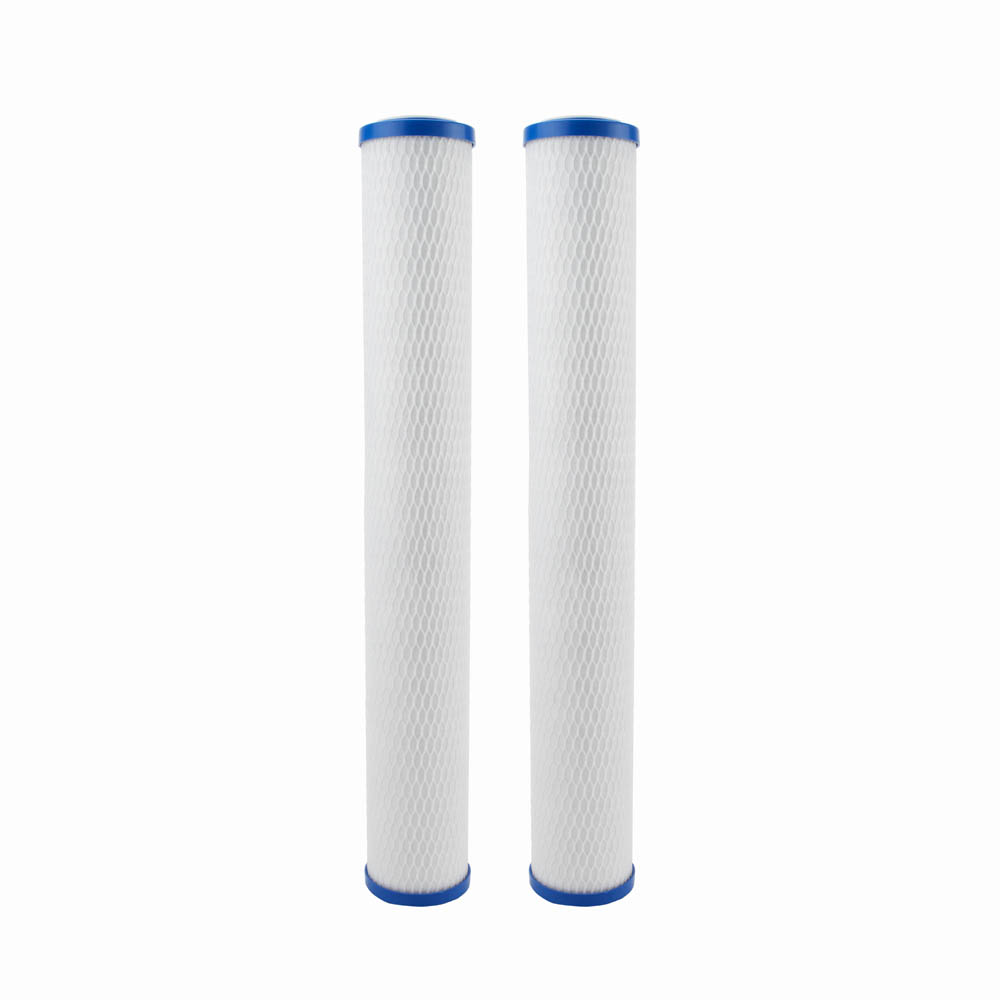 Everpure CG5-20S 20" Water Filtration Cartridge, 2-Pack