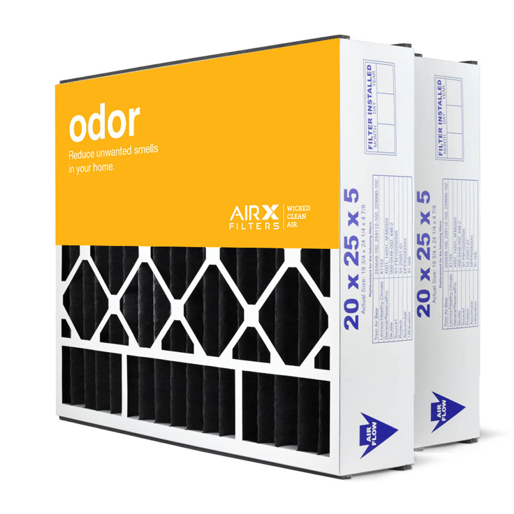 20x25x5 AIRx ODOR Air Bear 255649-102 Replacement Air Filter - Carbon, 2-Pack