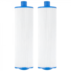 ClearChoice Replacement filter for Dimension One Spas Top Load 1561-13, 2-pack