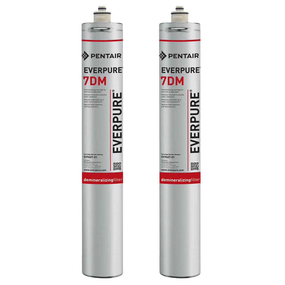 Everpure 7DM Demineralizing Water Filtration Cartridge, 2-pack