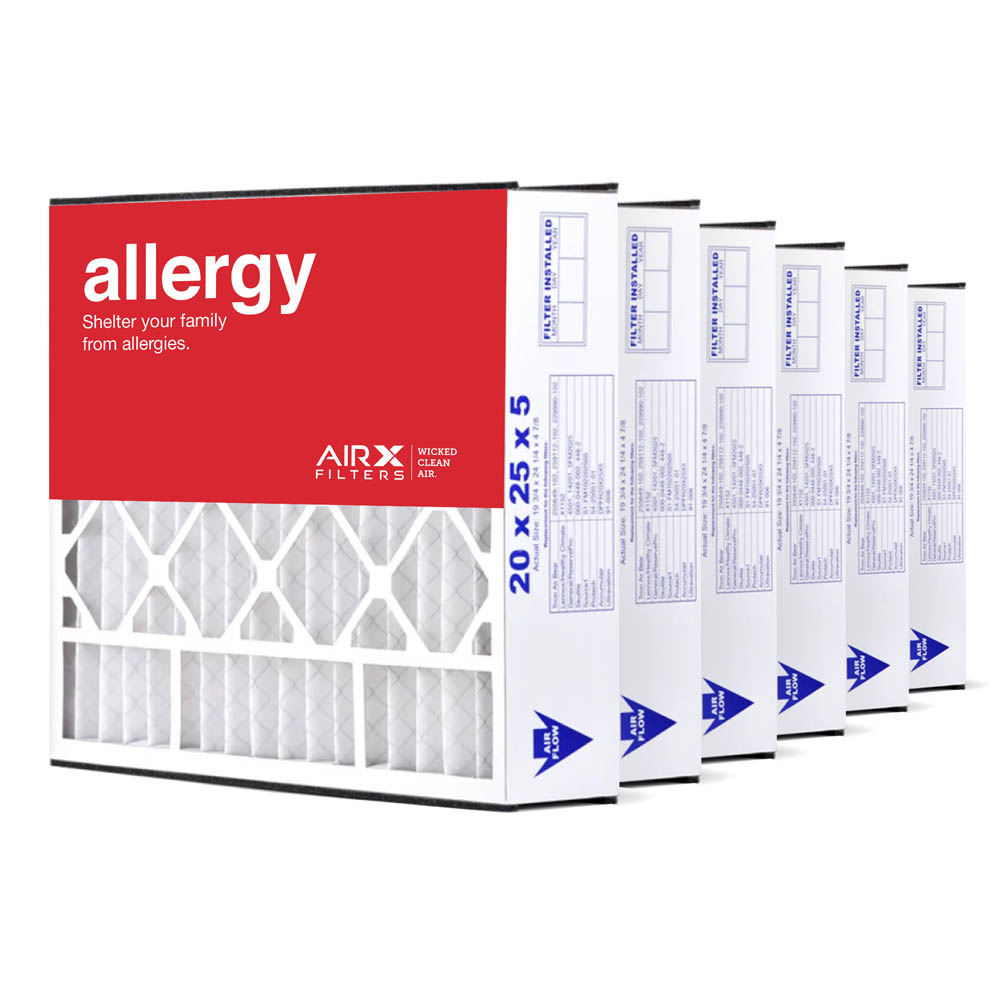 AIRx 20x25x5 Air Bear 255649