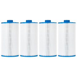 ClearChoice Replacement Spa Filter for Watkins 303279, 4-Pack