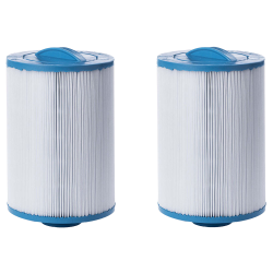 ClearChoice Replacement Spa Filter for Ideal Brands Plunges, 2-Pack