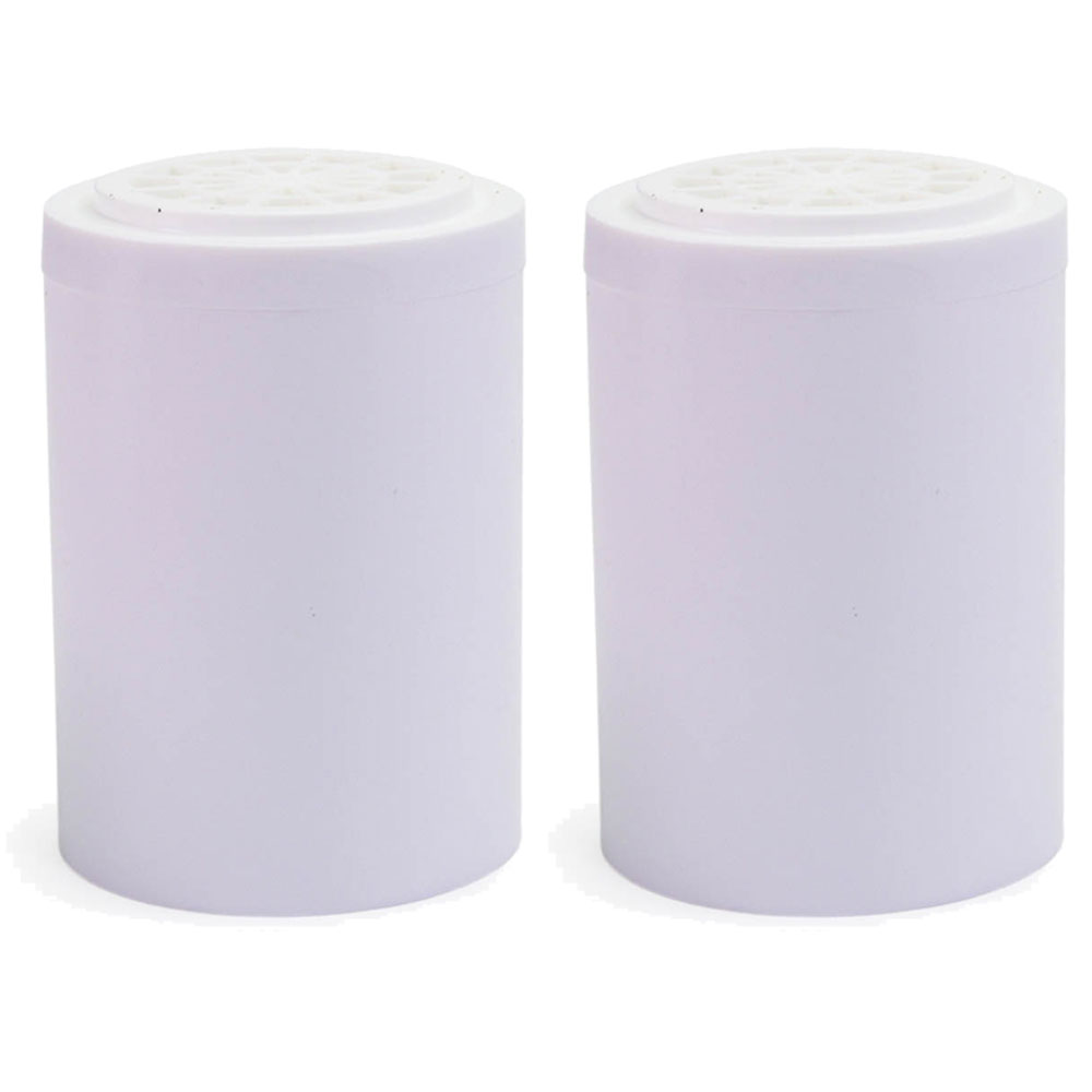 Replacement Filter for Aqualux Dechlorinating Shower System, 2-Pack
