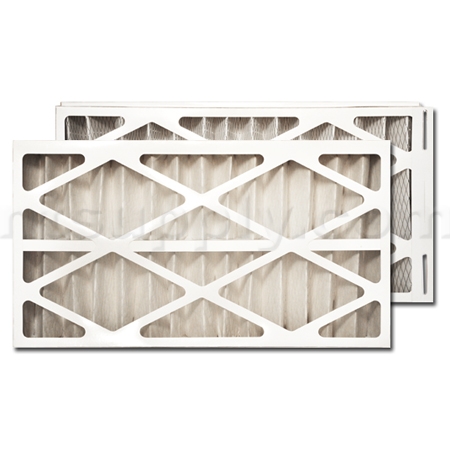 Trane/American Standard PERFECT FIT Air Filter (BAYFTFR14M)