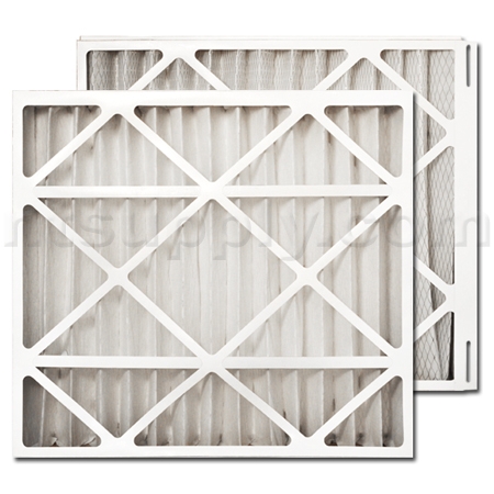 Trane/American Standard PERFECT FIT Air Filter (BAYFTFR24M)