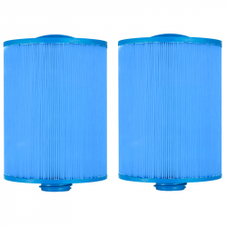ClearChoice Replacement filter for Waterway Front Access Skimmer, Anti-Microbial, 2-Pack