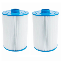 ClearChoice Replacement for Filbur FC-0310. Fits American Spas, Wellis Spas, Coleman, and Others 2-pack