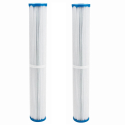 ClearChoice Replacement for Lifeguard CL 19X / Pentair R173326, 2-pack