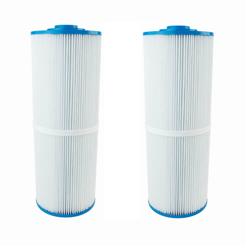 ClearChoice Replacement for Rainbow Pentair Leaf Cartridge R172653, 2-pack