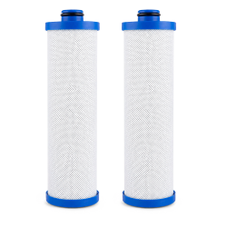 Replacement Water Filter (KW1) for Built-In RV Water Filtration Systems, 2-pack