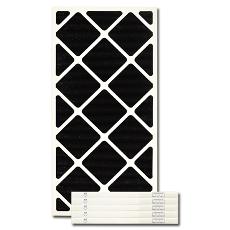 14 X 24 X 1 Carbon Pleated Filter