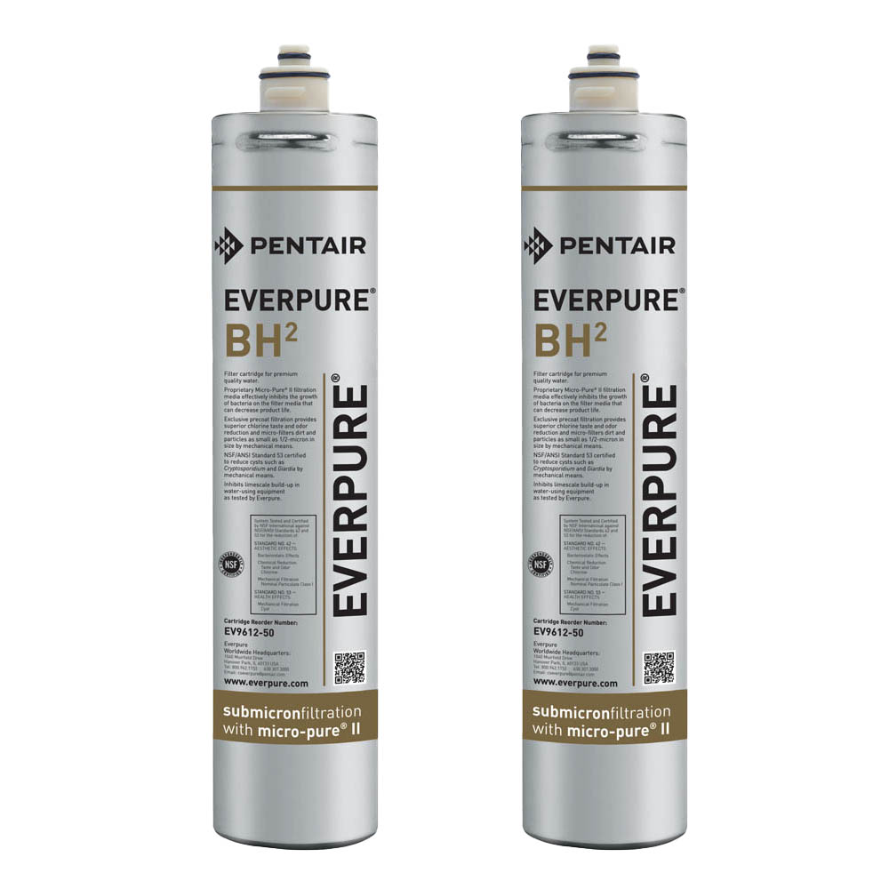Everpure EV961250 2pk