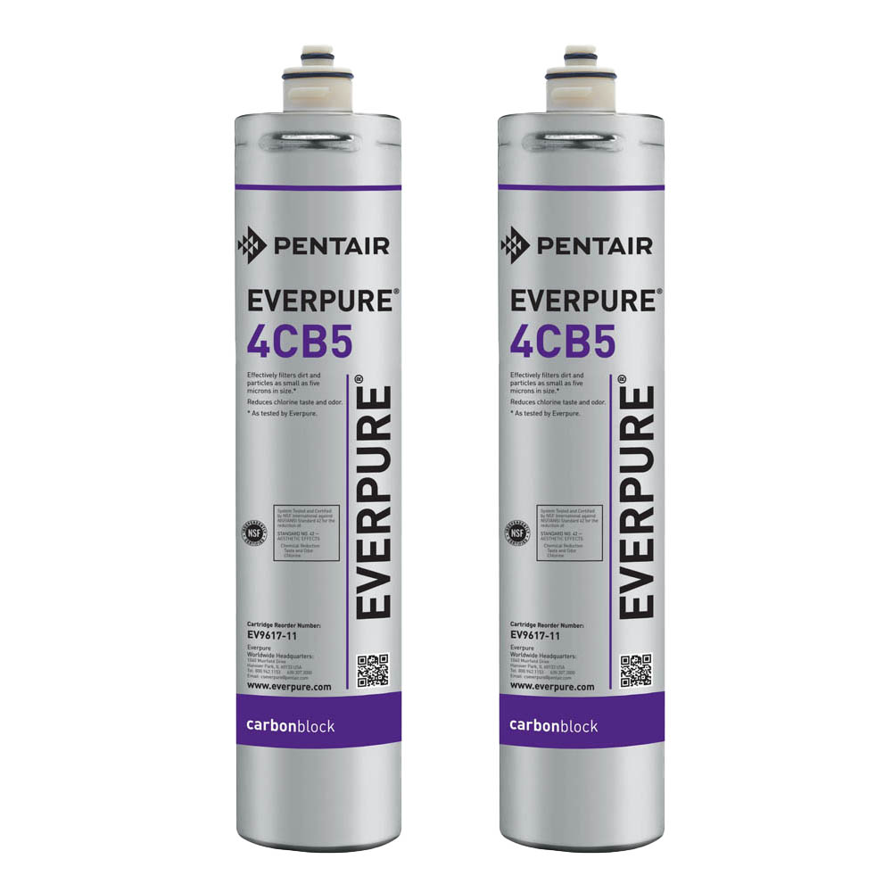 Everpure 4CB5 Water Filtration Cartridge, 2-pk