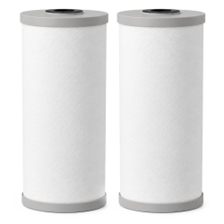 EcoAqua Whole House Iron & Manganese Reduction Filter, 2-Pack