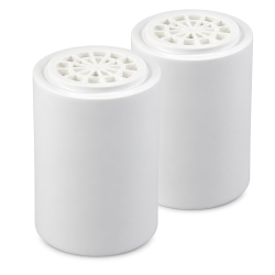 Replacement Filter for Aqualux Dechlorinating Shower System, 2-Pack