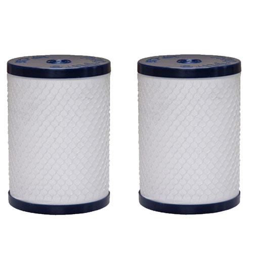 Aquaversa CB6 Compatible Carbon Block Filter Cartridge NP-CB6, 2-Pack