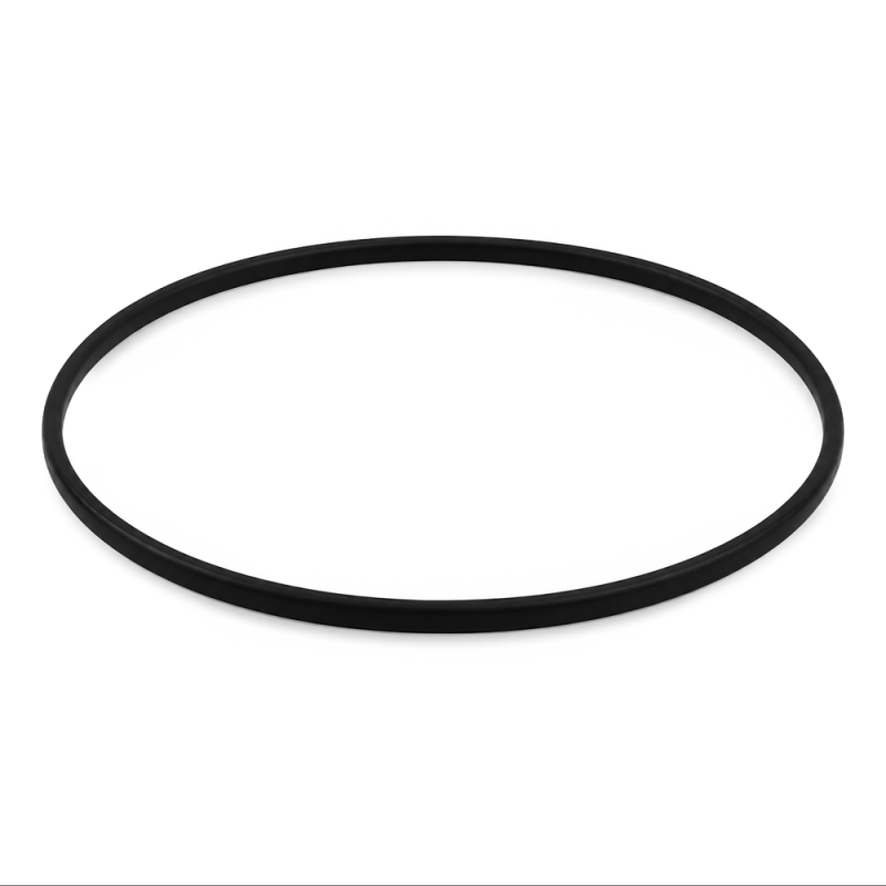 Pentek O-Ring for Big Blue Housings, 2-Pack