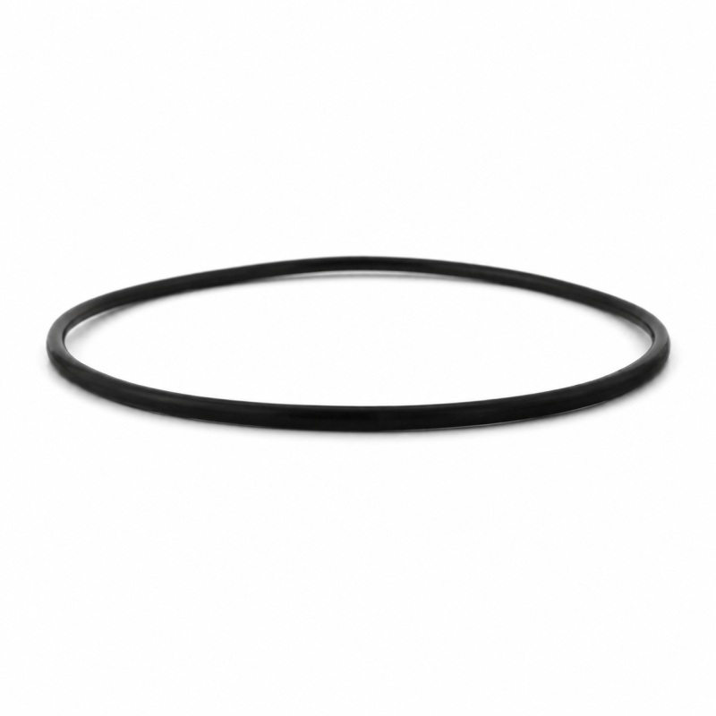 Pentek O-Ring for Big Blue Housings, 2-Pack