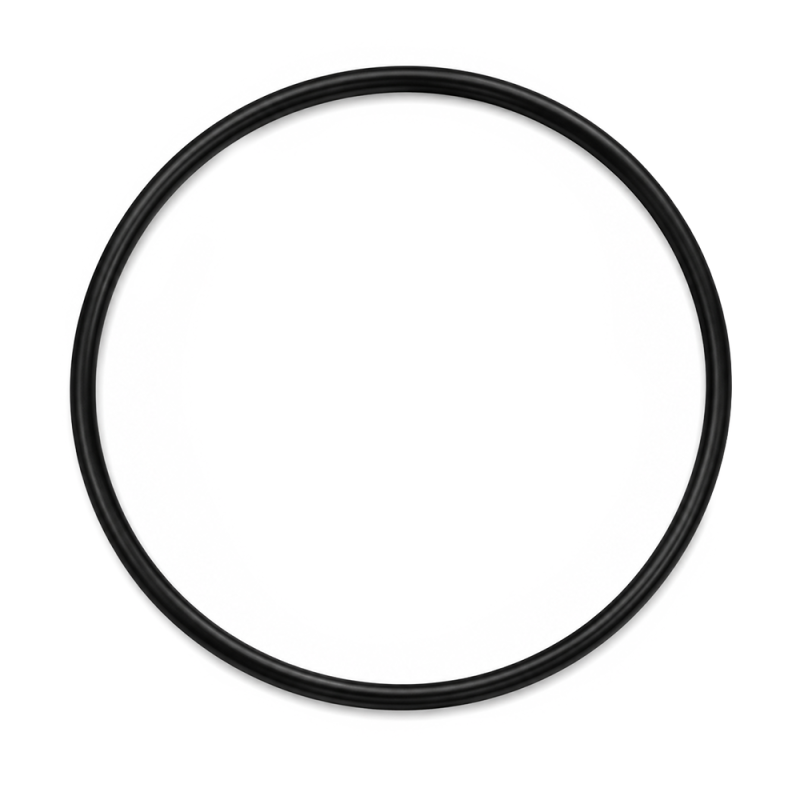 Pentek O-Ring for Big Blue Housings, 2-Pack