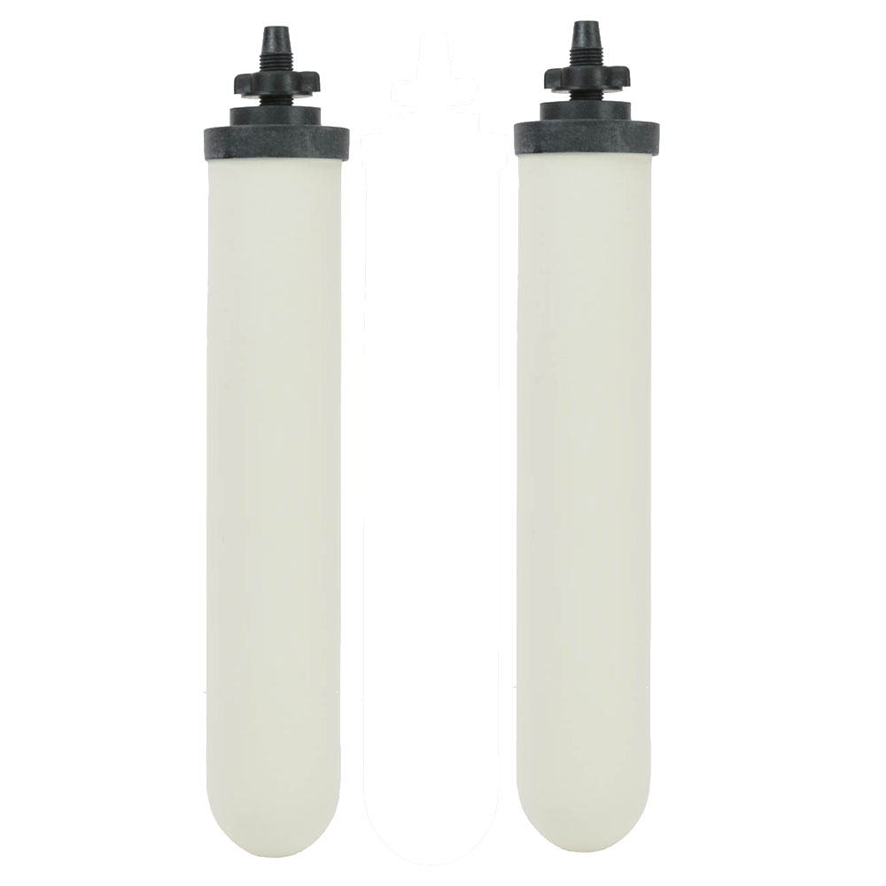 Doulton 10" Ceramic Water Filter Candle - W9121715, 2-Pack