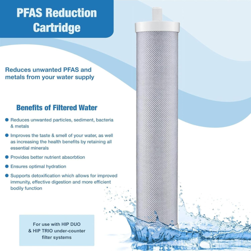 Doulton 10" PFAS, Chlorine Reduction Water Filter - W9142014, 2-Pack