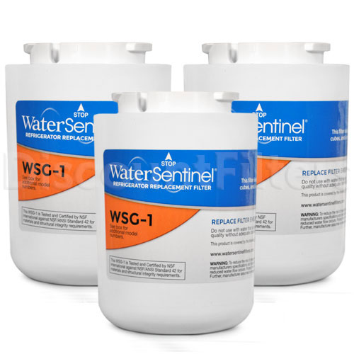 WaterSentinel WSG-1 Replacement for GE MWF Filter, 3-Pack