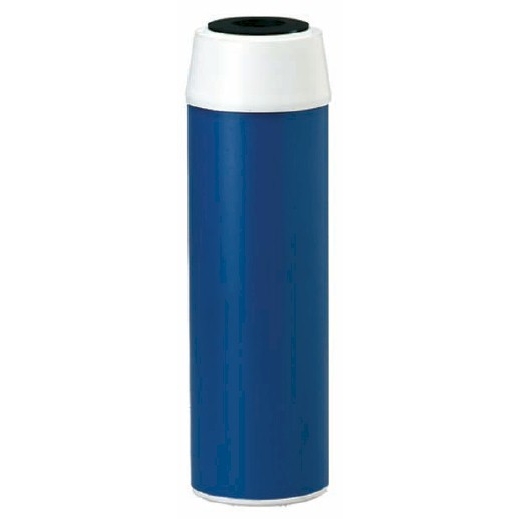 Everpure CGT-10 10" Water Filtration Cartridge